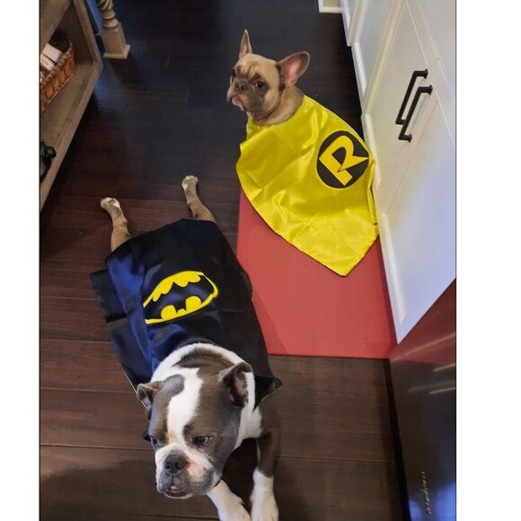 Live Share Show Flyer!! Join Me For Deals, Mystery Bags, Bingo and FUN!!!! - Picture 5 of 15